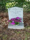 image of grave number 123520